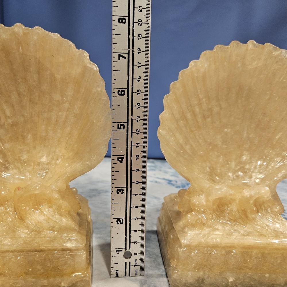 Clamshell Bookends Set - Picture 5 of 7